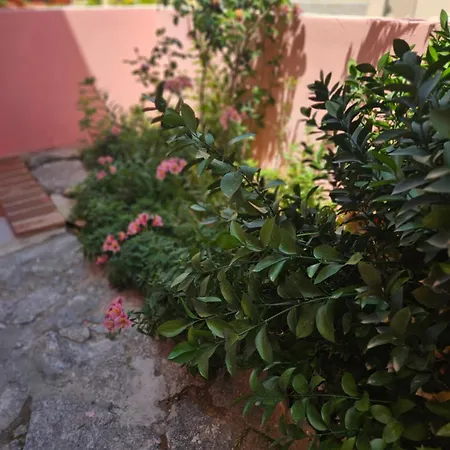 Appartement Bel Seminterrato Con Finestre