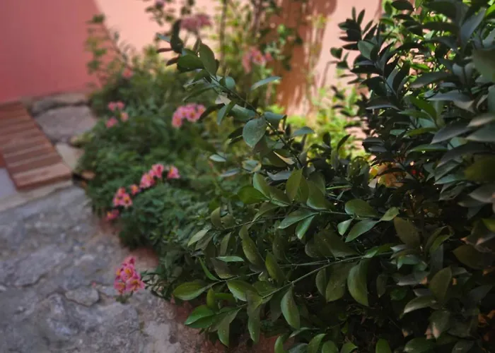 Apartamento Bel Seminterrato Con Finestre